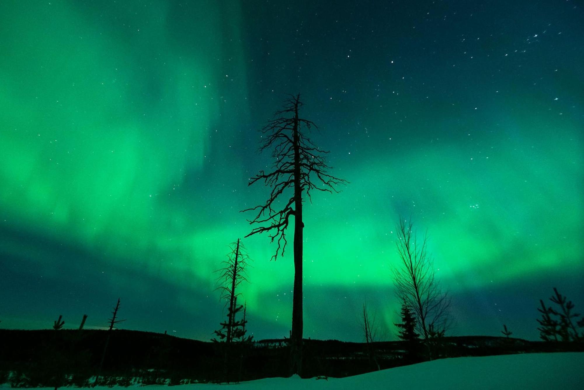 Napapiirin Jaervilomat Hotel Luukonniemi Buitenkant foto